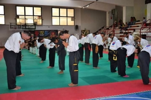 Official pictures from the event World Hwa Rang Do Associationhellip